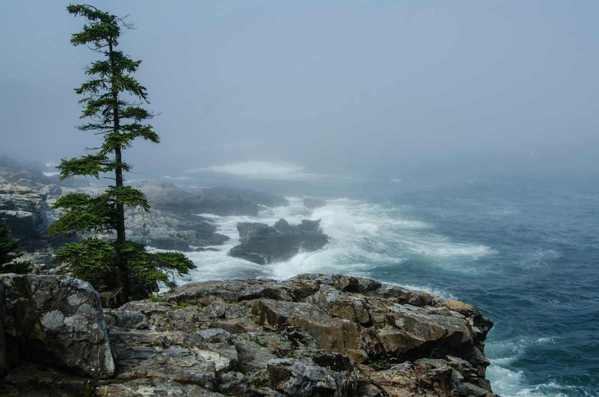 Atlantic waves meeting Maine’s rocky coastline and evergreen trees