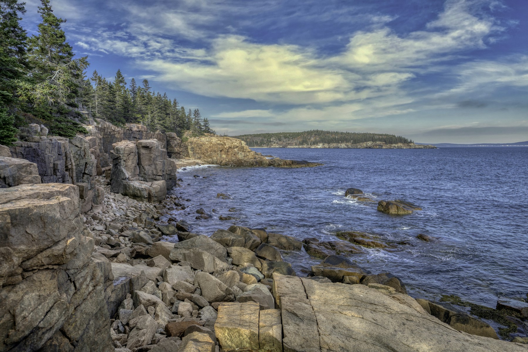Evergreen trees and rocky Maine shoreline beside the blue Atlantic Ocean